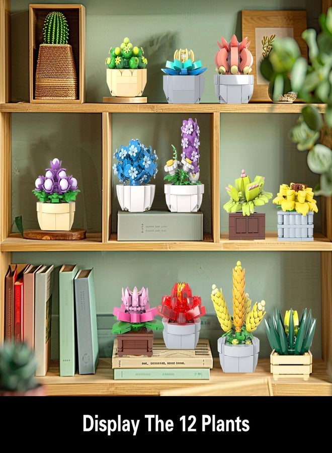 GEVINST Succulents Set for Adults Building Sets, 12 Plants, Home Decor, Birthday Gifts for Women, Creative Housewarming Gifts, Botanical Collection, Flowers Succulents Artificial Plant Kit (1174 piece) - Image 4